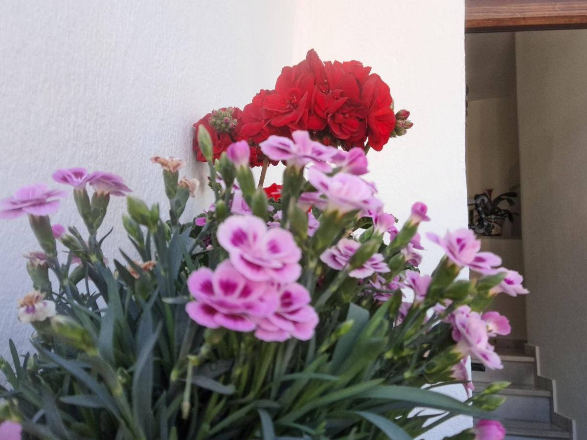 Apartamento "La Vina" Malaga Exterior photo